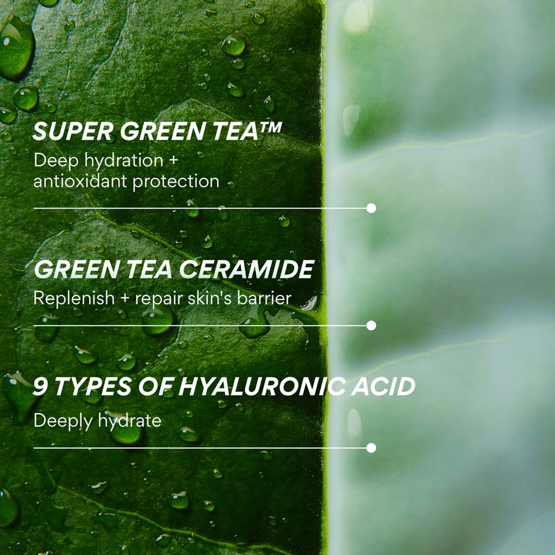 Green Tea Ceramide Milk - Image 14