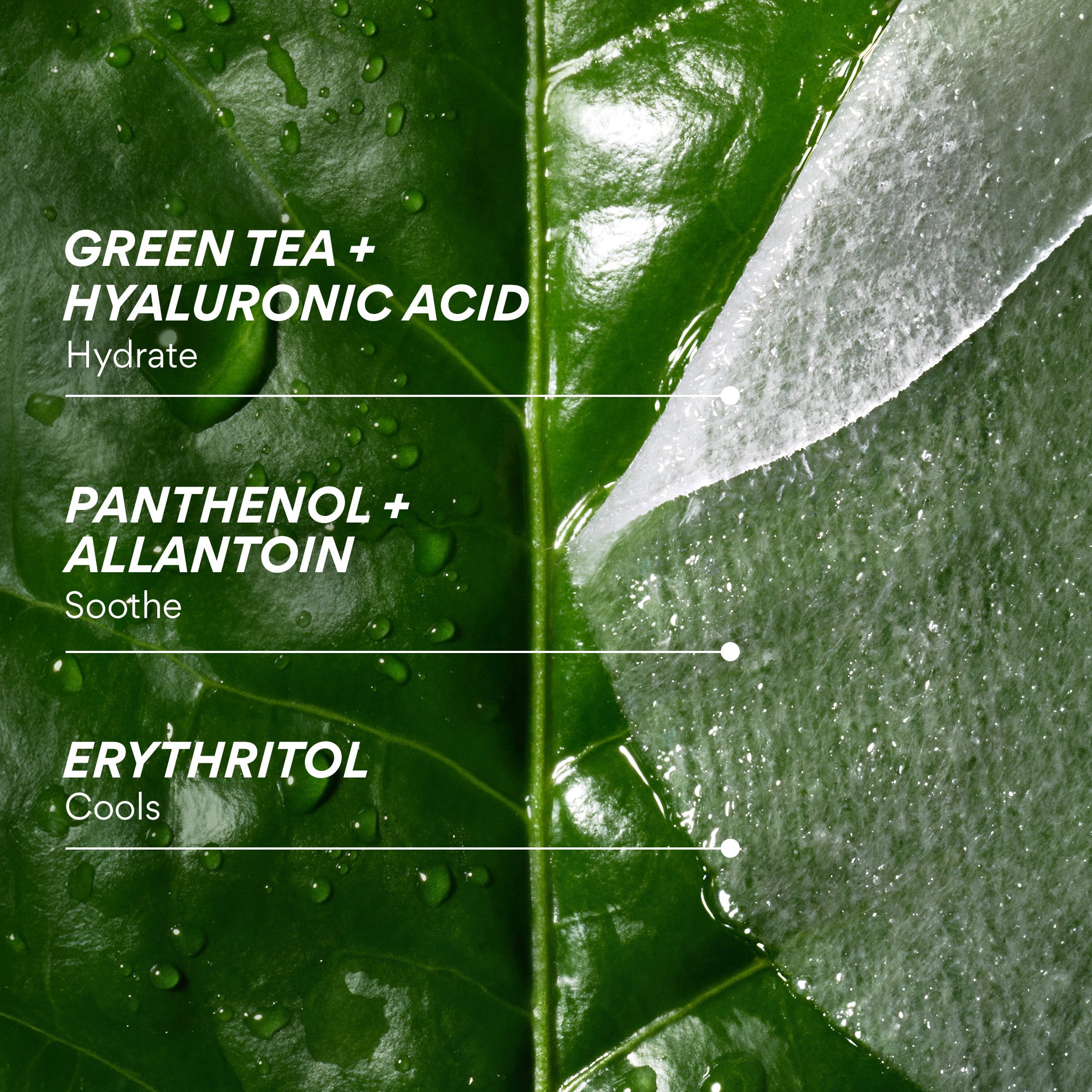 Green Tea Panthenol Calming Toner Pads - Image 5